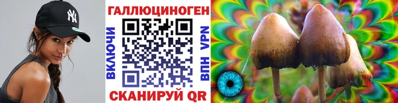 kraken онион  Иноземцево  Псилоцибиновые грибы MAGIC MUSHROOMS 
